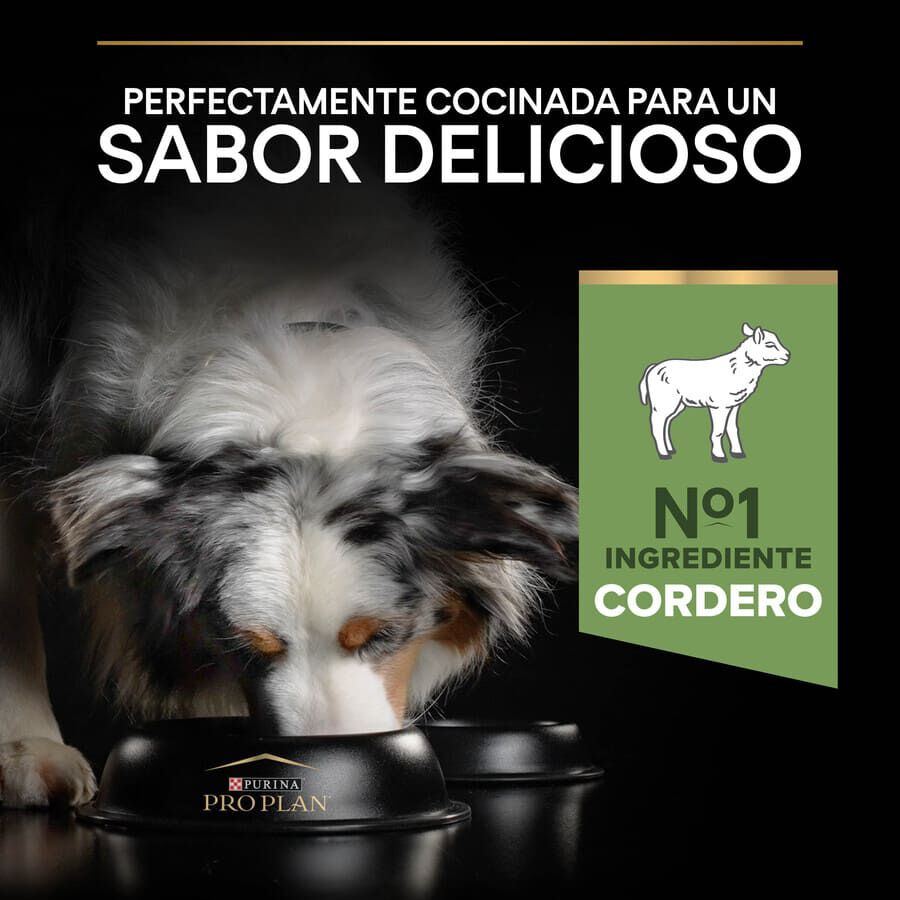 16.5 kg (14 + 2.5 kg &iexcl;gratis!) Pro Plan Adult Medium Digesti&oacute;n Cordero pienso para perros, , large Imagen numero 7